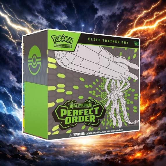 PERFECT ORDER ELITE TRAINER BOX